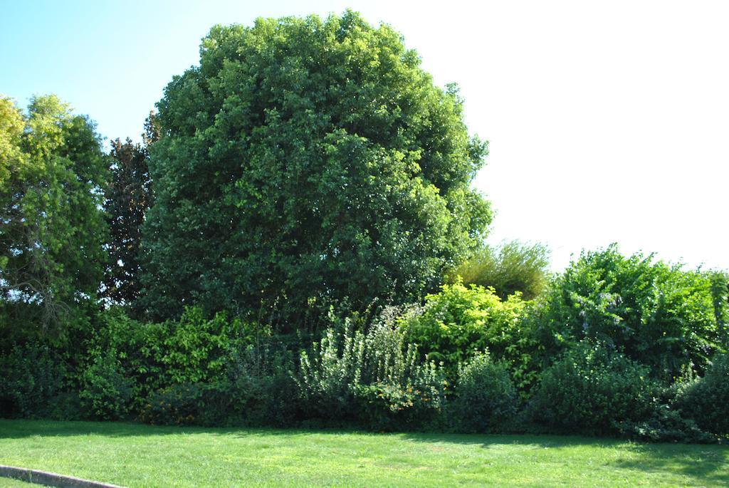 Chic & Country Bed and Breakfast Lecce Eksteriør billede